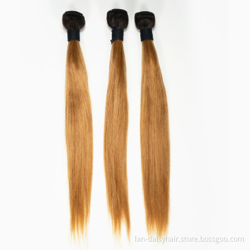 Peruvian Straight Hair T27Ombre Human Hair Bundles  8-26Inches Honey Blonde Straight Bundles Ombre Bundles  And Natural Weave